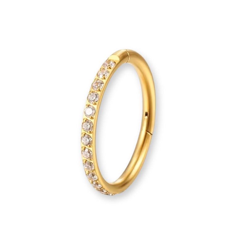 Gold-Septum-Nasen-Klicker-Nasenpiercing-Ohrring-Falkenkoenig-Schmuck-Piercings-aus-Titan-Chirurgenstahl-zirkonia